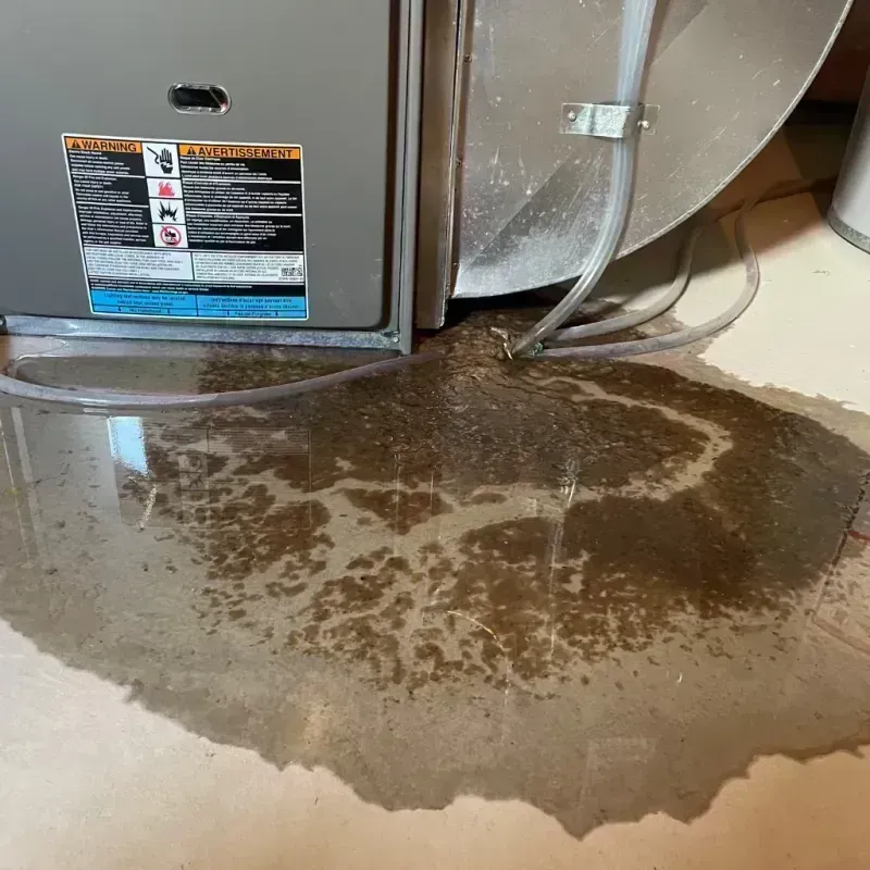 Appliance Leak Cleanup in Litchfield, IL